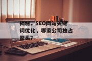 揭秘，SEO网站关键词优化，哪家公司独占鳌头？