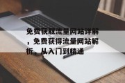 免费获取流量网站详解，免费获得流量网站解析，从入门到精通