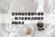 启东网站权重提升策略，助力企业抢占网络市场制高点