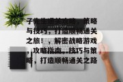 子先生通关攻略,策略与技巧,打造顺畅通关之旅!,解密战略游戏,攻略指南,技巧与策略,打造顺畅通关之路