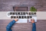 供销社概念股午后拉升 供销大集直线涨停 供销社概念股午后拉升 供销大集直线涨停