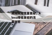 揭秘网站流量奥秘，Alexa排名背后的流量秘密