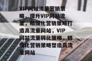 VIP网站流量营销策略，提升VIP网站流量，精细化营销策略打造高流量网站，VIP网站流量转化策略，精细化营销策略塑造高流量网站