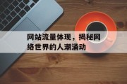 网站流量体现，揭秘网络世界的人潮涌动