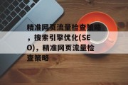 精准网页流量检查策略，搜索引擎优化(SEO)，精准网页流量检查策略