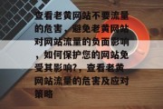 查看老黄网站不要流量的危害，避免老黄网站对网站流量的负面影响，如何保护您的网站免受其影响?，查看老黄网站流量的危害及应对策略