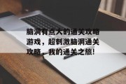 脑洞有点大的通关攻略游戏,超刺激脑洞通关攻略,我的通关之旅!