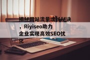 揭秘网站流量增长秘诀，Riyiseo助力企业实现高效SEO优化