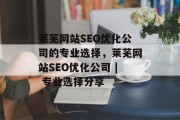 莱芜网站SEO优化公司的专业选择，莱芜网站SEO优化公司 | 专业选择分享
