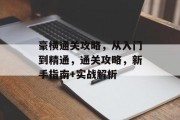 豪横通关攻略，从入门到精通，通关攻略，新手指南+实战解析