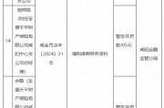 安盛天平咸阳中心支公司被罚22.6万元：因编制虚假财务资料
