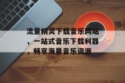 流量精灵下载音乐网站，一站式音乐下载利器，畅享海量音乐资源