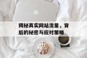 揭秘真实网站流量，背后的秘密与应对策略