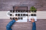流量王网站的崛起与威胁，流量王网站，崛起与威胁分析