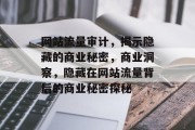 网站流量审计，揭示隐藏的商业秘密，商业洞察，隐藏在网站流量背后的商业秘密探秘