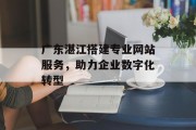 广东湛江搭建专业网站服务，助力企业数字化转型