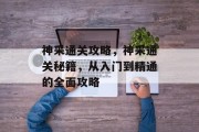 神采通关攻略，神采通关秘籍，从入门到精通的全面攻略