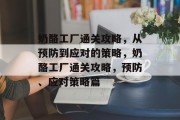 奶酪工厂通关攻略,从预防到应对的策略,奶酪工厂通关攻略,预防、应对策略篇