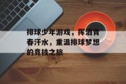排球少年游戏，挥洒青春汗水，重温排球梦想的竞技之旅