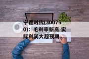 宁德时代(300750)：毛利率新高 实际利润大超预期