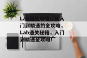 Lab通关攻略，从入门到精通的全攻略， Lab通关秘籍，入门到精通全攻略！