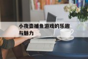 小夜壶捕鱼游戏的乐趣与魅力