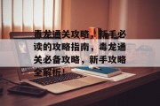 毒龙通关攻略，新手必读的攻略指南，毒龙通关必备攻略，新手攻略全解析！