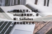 攻略与方法,Sadiubus通关解析,求解!Sadiubus通关秘籍大公开