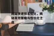 网站快速排名优化，揭秘高效策略与性价比之选