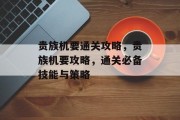 贵族机要通关攻略，贵族机要攻略，通关必备技能与策略