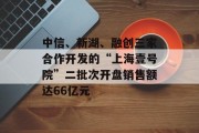 中信、新湖、融创三家合作开发的“上海壹号院”二批次开盘销售额达66亿元