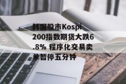 韩国股市Kospi 200指数期货大跌6.8% 程序化交易卖单暂停五分钟