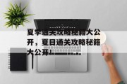 夏季通关攻略秘籍大公开,夏日通关攻略秘籍大公开! 夏季通关攻略秘籍大公开,夏日通关攻略秘籍大公开!