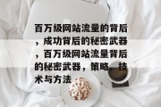 百万级网站流量的背后，成功背后的秘密武器，百万级网站流量背后的秘密武器，策略、技术与方法