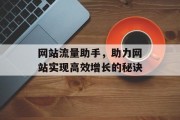 网站流量助手，助力网站实现高效增长的秘诀