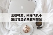 云端畅游，揭秘飞机小游戏背后的乐趣与智慧