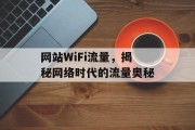 网站WiFi流量，揭秘网络时代的流量奥秘
