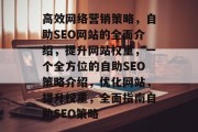 高效网络营销策略，自助SEO网站的全面介绍，提升网站权重，一个全方位的自助SEO策略介绍，优化网站，提升权重，全面指南自助SEO策略