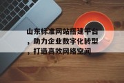 山东标准网站搭建平台，助力企业数字化转型，打造高效网络空间