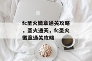fc圣火徽章通关攻略，圣火通天，fc圣火徽章通关攻略