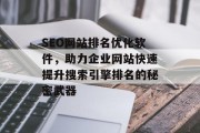 SEO网站排名优化软件，助力企业网站快速提升搜索引擎排名的秘密武器