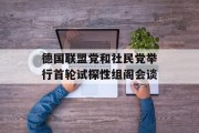 德国联盟党和社民党举行首轮试探性组阁会谈