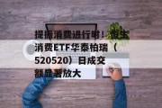 提振消费进行时！恒生消费ETF华泰柏瑞（520520）日成交额显著放大