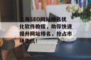 上海SEO网站排名优化软件教程，助你快速提升网站排名，抢占市场先机！