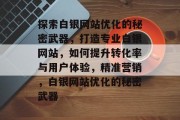 探索白银网站优化的秘密武器，打造专业白银网站，如何提升转化率与用户体验，精准营销，白银网站优化的秘密武器