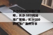 长沙SEO网站推广策略，长沙 SEO网站推广策略，长沙SEO网站推广案例分享