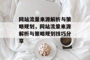 网站流量来源解析与策略规划，网站流量来源解析与策略规划技巧分享