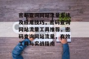 密码查询网站流量方法及应用技巧，密码查询网站流量工具推荐，密码查询网站流量，有效工具与实战指南