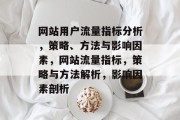网站用户流量指标分析，策略、方法与影响因素，网站流量指标，策略与方法解析，影响因素剖析