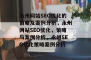永州网站SEO优化的策略及案例分析，永州网站SEO优化，策略与案例分析，永州SEO优化策略案例分析